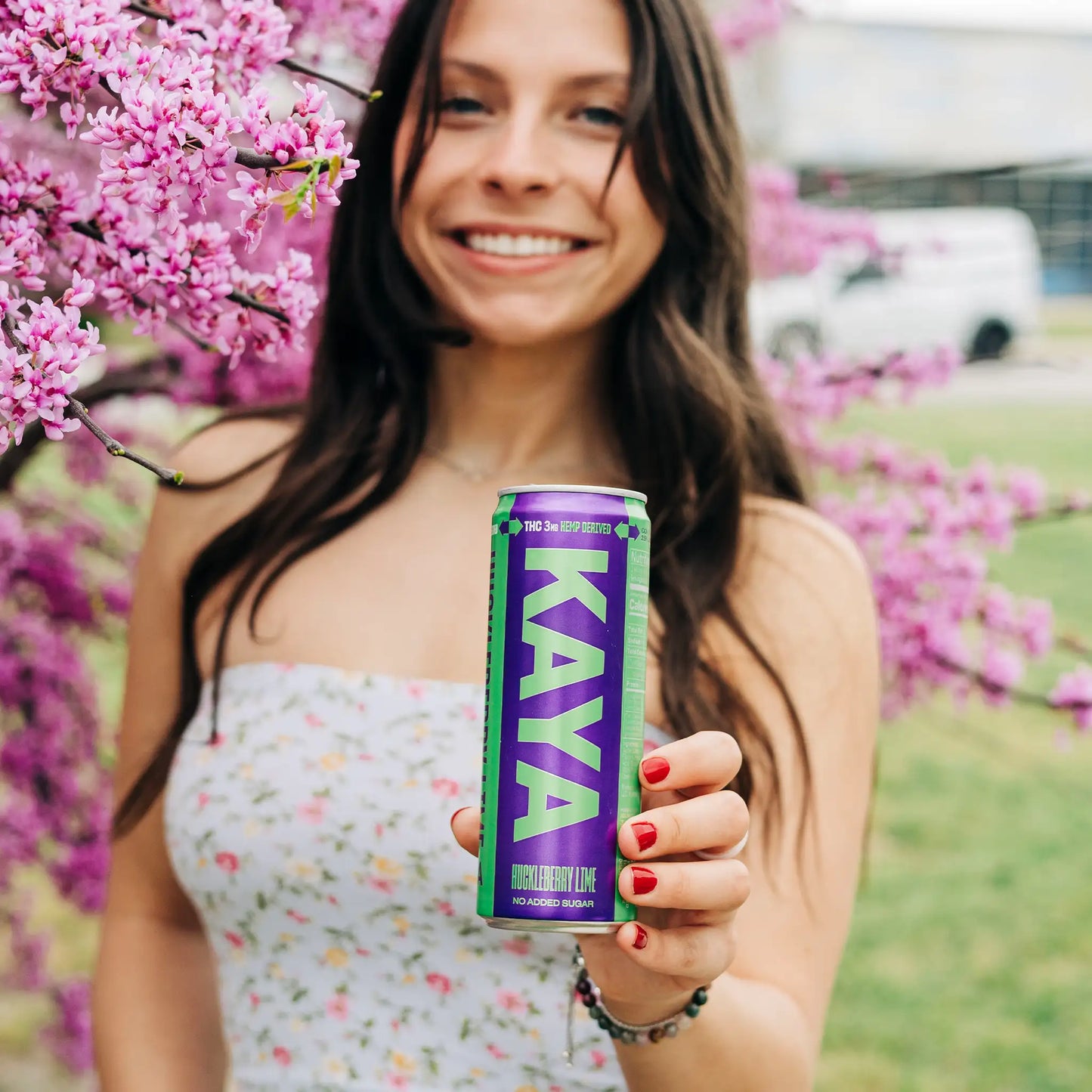 KAYA Huckleberry Lime 6-pack